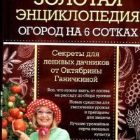 Золотая энциклопедия. Огород на 6 сотках: секреты для ленивых